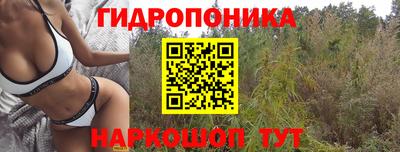 spice Малгобек