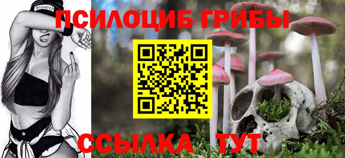 Псилоцибиновые грибы Cubensis  Вход с VPN  Псилоцибиновые грибы прущие грибы  Старая Купавна 